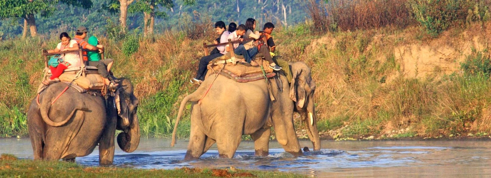 Jungle Safari in Chitwan
